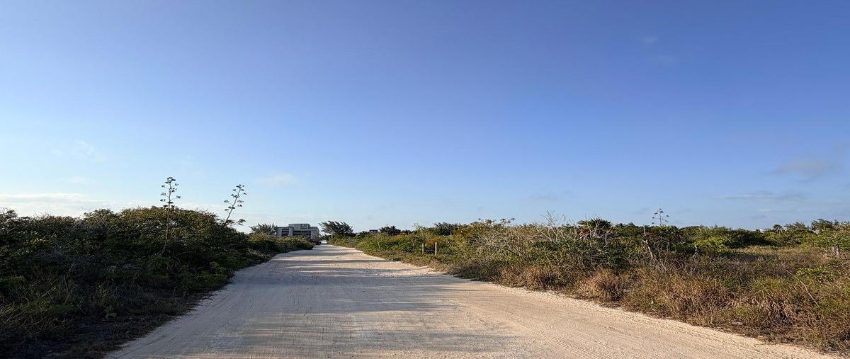 Foto de terreno habitacional en venta en chicxulub puerto - telchac puerto , chicxulub puerto, progreso, yucatán, 0 No. 04