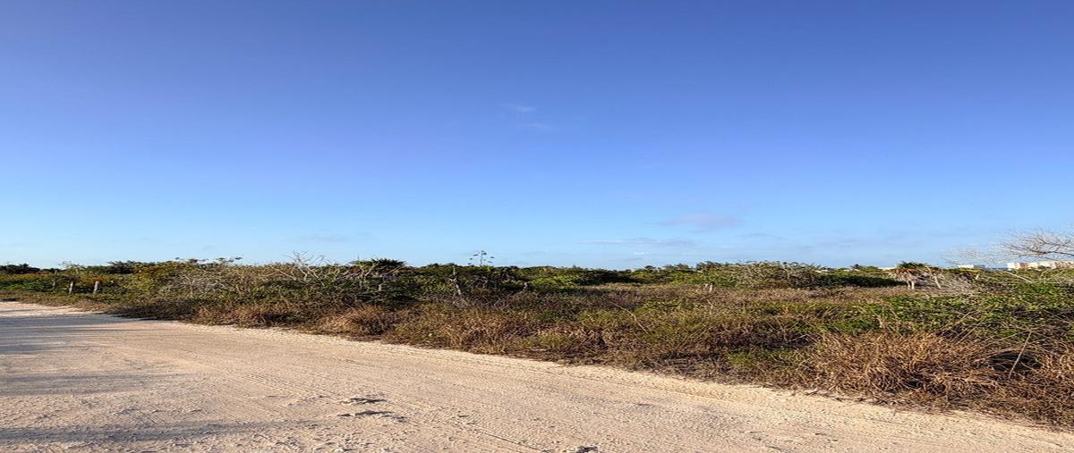 Foto de terreno habitacional en venta en chicxulub puerto - telchac puerto , chicxulub puerto, progreso, yucatán, 0 No. 05