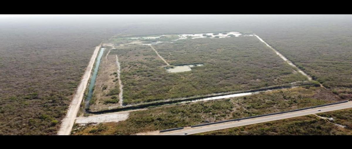 Foto de terreno habitacional en venta en chicxulub whi313526, chicxulub, chicxulub pueblo, yucatán, 0 No. 05