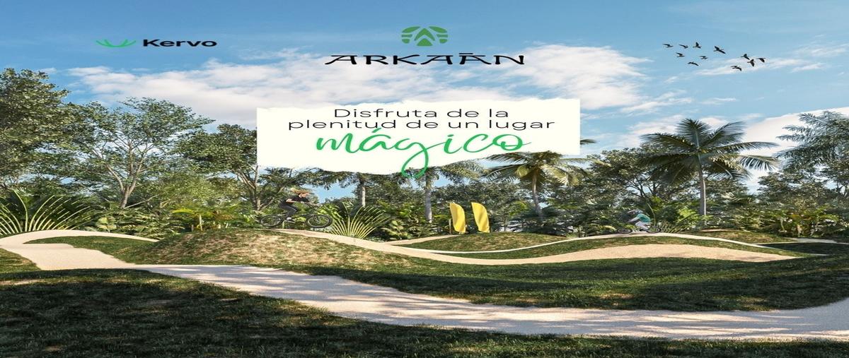 Foto de terreno habitacional en venta en chicxulub whi313751, chicxulub, chicxulub pueblo, yucatán, 0 No. 05