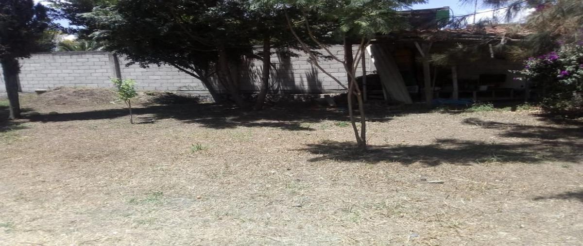 Foto de terreno habitacional en renta en chignahuapan , san francisco acatepec, san andrés cholula, puebla, 0 No. 05