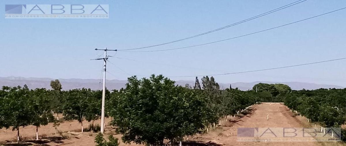 Foto de terreno habitacional en venta en  , chihuahua centro, chihuahua, chihuahua, 14822608 No. 03