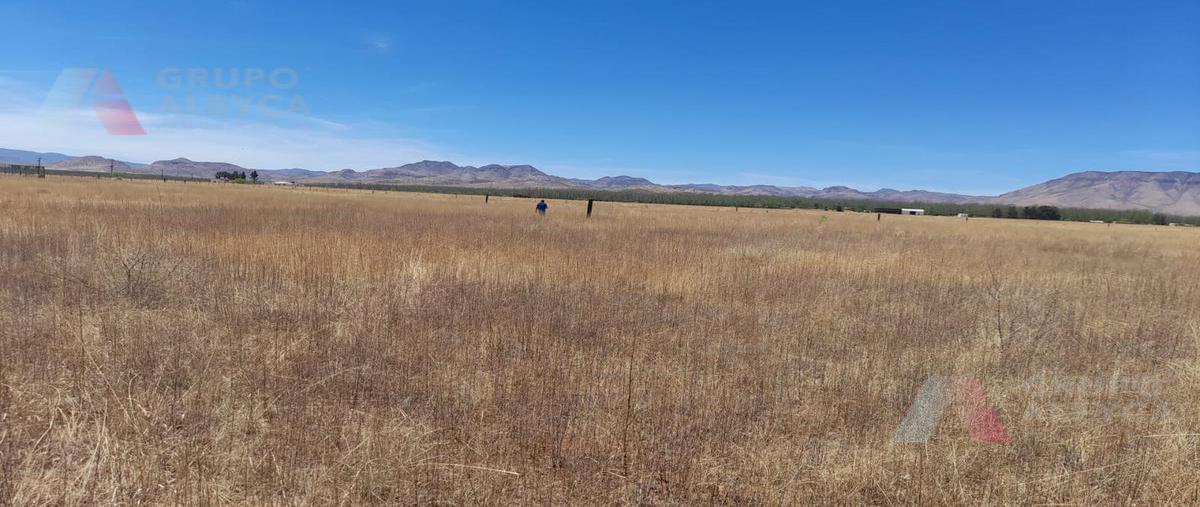 Foto de terreno habitacional en venta en  , chihuahua centro, chihuahua, chihuahua, 24803537 No. 03