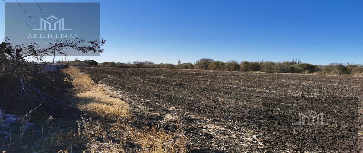 Foto de terreno habitacional en venta en  , chihuahua centro, chihuahua, chihuahua, 25483983 No. 03
