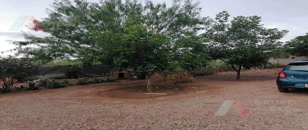 Foto de rancho en venta en  , chihuahua centro, chihuahua, chihuahua, 26146814 No. 04