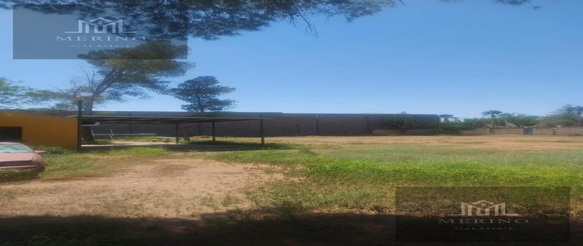 Foto de casa en venta en  , chihuahua centro, chihuahua, chihuahua, 26250956 No. 04