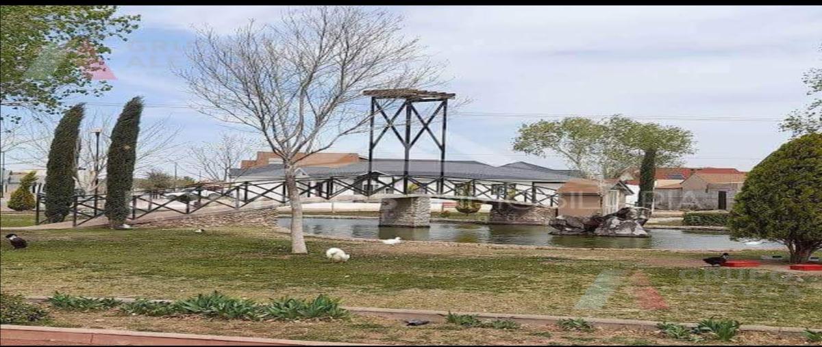 Foto de terreno habitacional en , chihuahua centro, chihuahua, chihuahua, 26334987 foto 05 Foto de terreno habitacional en venta en , chihuahua centro, chihuahua, chihuahua, 26334987 No. 05