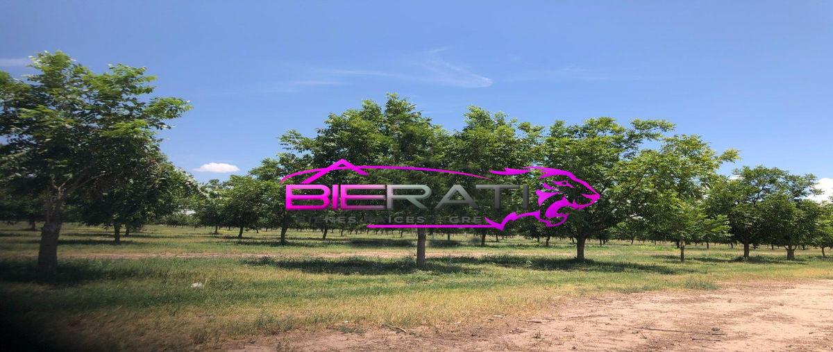 Foto de rancho en venta en  , chihuahua centro, chihuahua, chihuahua, 26955716 No. 02