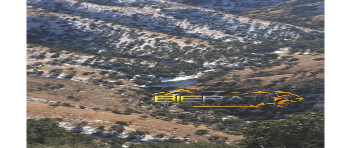 Foto de rancho en venta en  , chihuahua centro, chihuahua, chihuahua, 26955770 No. 02