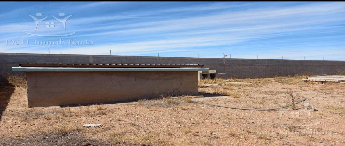 Foto de terreno habitacional en renta en  , chihuahua centro, chihuahua, chihuahua, 28137706 No. 05