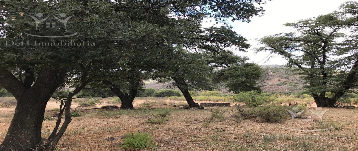 Foto de terreno habitacional en venta en  , chihuahua centro, chihuahua, chihuahua, 28662396 No. 04