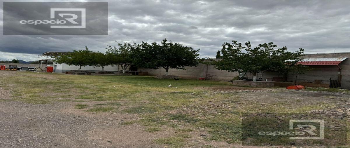 Foto de terreno habitacional en , chihuahua centro, chihuahua, chihuahua, 28790170 foto 03 Foto de terreno habitacional en renta en , chihuahua centro, chihuahua, chihuahua, 28790170 No. 03