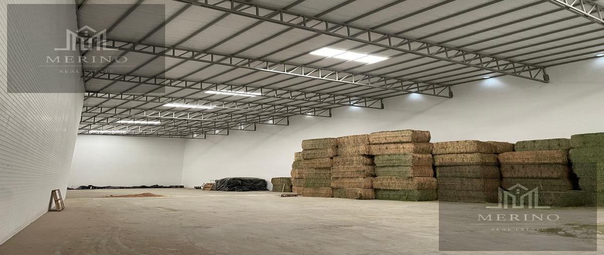 Foto de bodega en renta en  , chihuahua centro, chihuahua, chihuahua, 28978003 No. 04