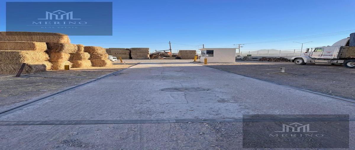 Foto de bodega en renta en  , chihuahua centro, chihuahua, chihuahua, 28978003 No. 05