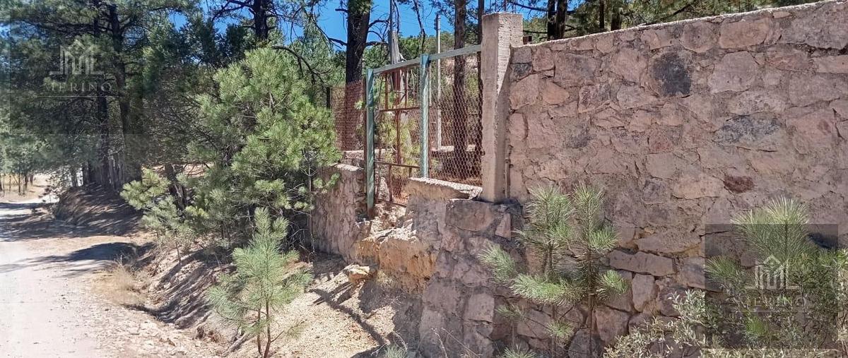 Foto de terreno habitacional en venta en  , chihuahua centro, chihuahua, chihuahua, 29827348 No. 03