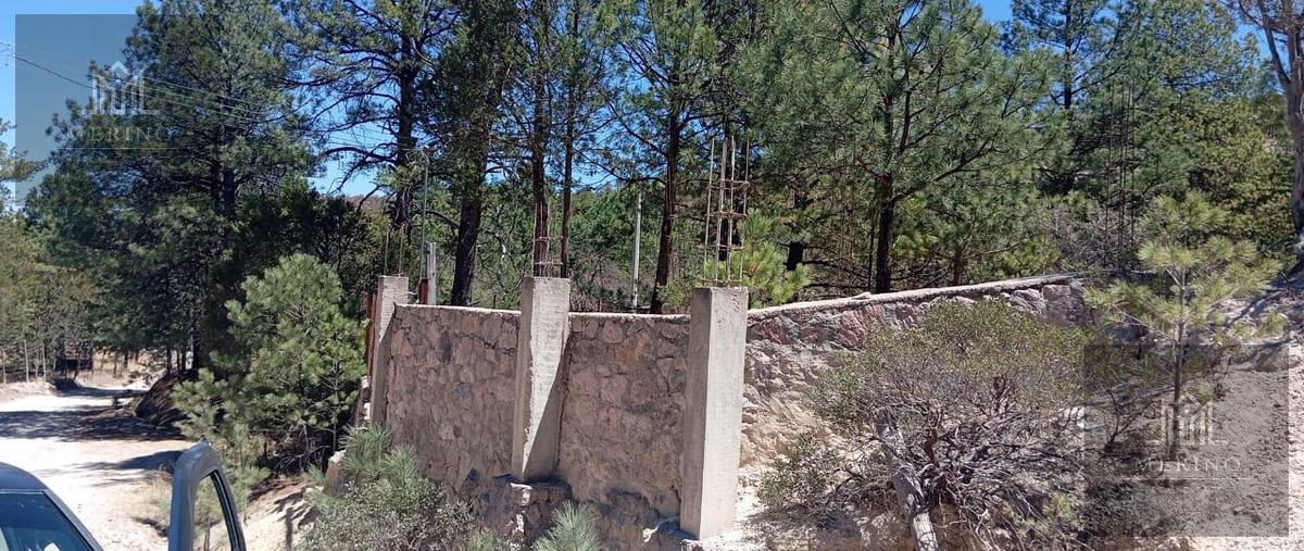 Foto de terreno habitacional en venta en  , chihuahua centro, chihuahua, chihuahua, 29827348 No. 04