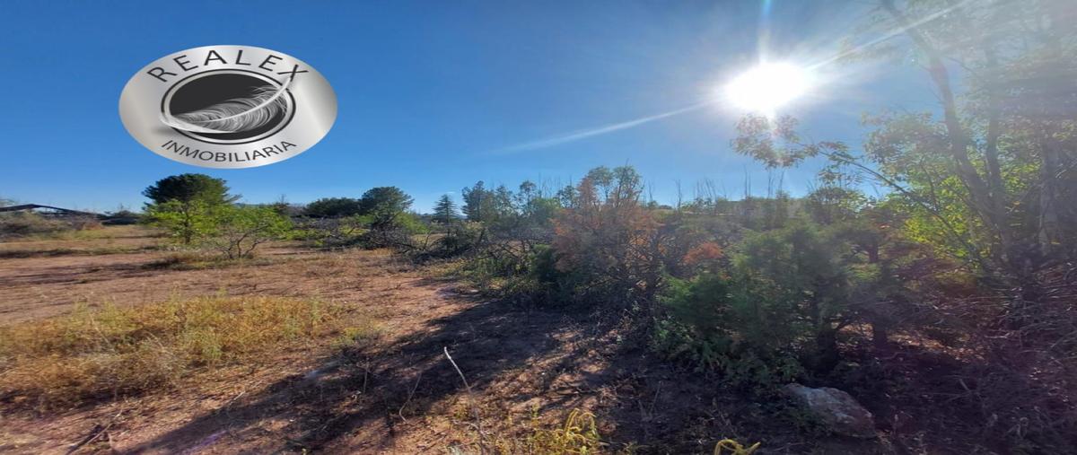 Foto de terreno habitacional en venta en  , chihuahua centro, chihuahua, chihuahua, 0 No. 05