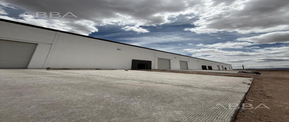 Foto de bodega en renta en  , chihuahua centro, chihuahua, chihuahua, 31025582 No. 05