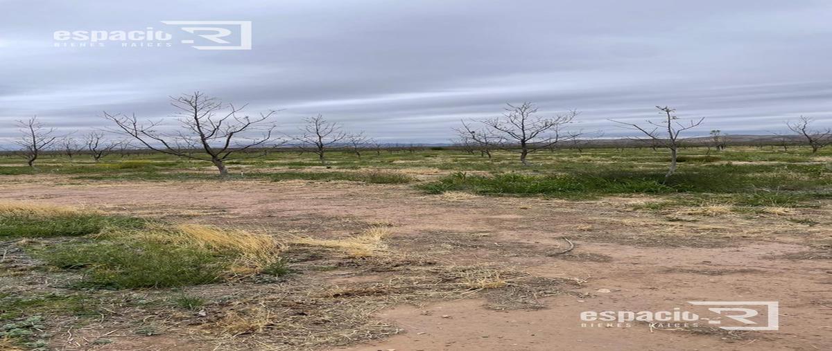 Foto de rancho en venta en  , chihuahua centro, chihuahua, chihuahua, 0 No. 03