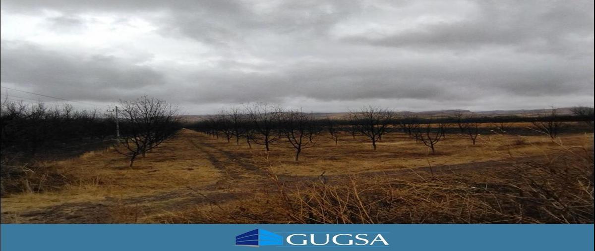 Foto de rancho en , chihuahua ii, chihuahua, chihuahua, 27064792 foto 01 Foto de rancho en venta en , chihuahua ii, chihuahua, chihuahua, 27064792 No. 01