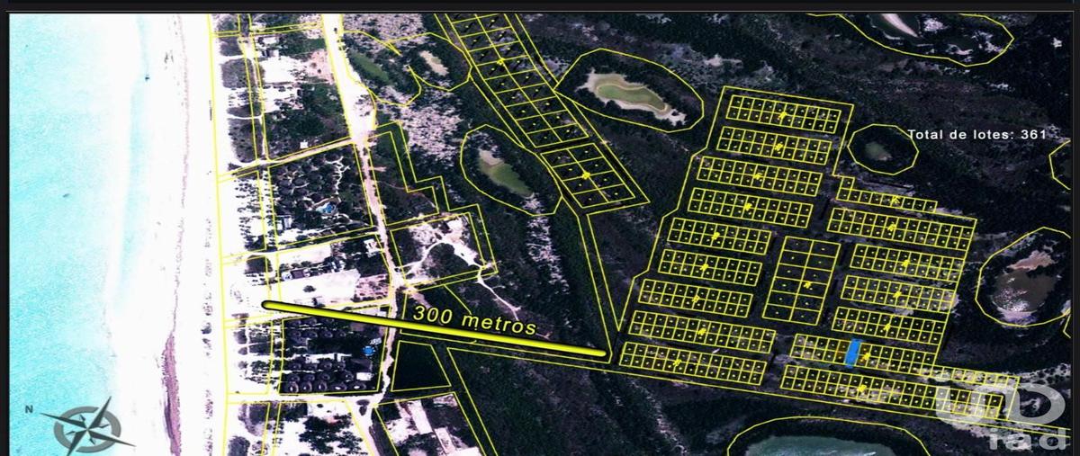 Foto de terreno habitacional en chíit 121, isla de holbox, lázaro cárdenas, quintana roo, 31644668 foto 03 Foto de terreno habitacional en venta en chíit 121, isla de holbox, lázaro cárdenas, quintana roo, 31644668 No. 03
