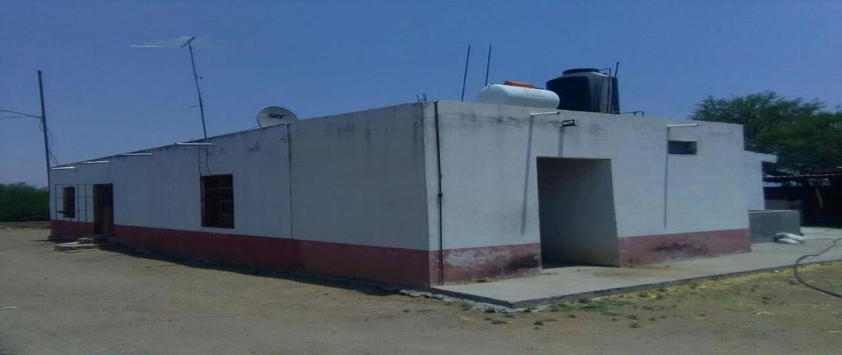 Foto de terreno comercial en , chilarillo, villa hidalgo, jalisco, 7762371 foto 04 Foto de terreno comercial en venta en , chilarillo, villa hidalgo, jalisco, 7762371 No. 04