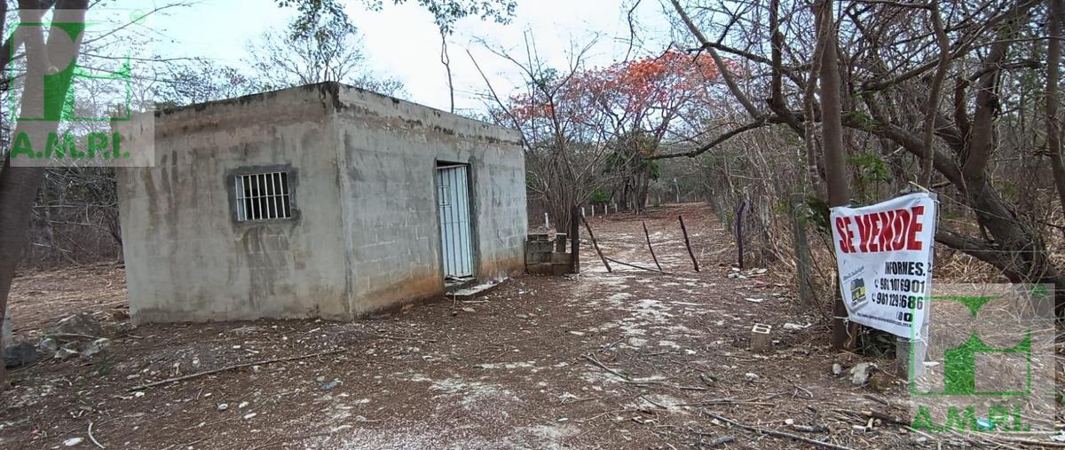 Foto de terreno habitacional en venta en  , china, campeche, campeche, 0 No. 03