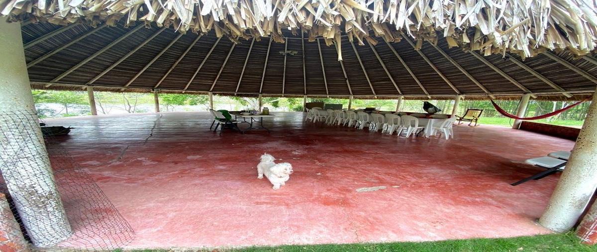 Foto de rancho en venta en  , chinameca, chinameca, veracruz de ignacio de la llave, 21244710 No. 03