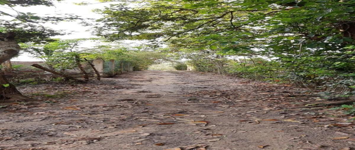Foto de terreno habitacional en venta en  , chinameca, chinameca, veracruz de ignacio de la llave, 0 No. 04