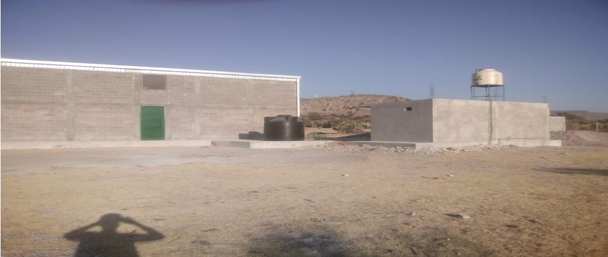 Foto de bodega en venta en  , chinampas, ojuelos de jalisco, jalisco, 0 No. 05