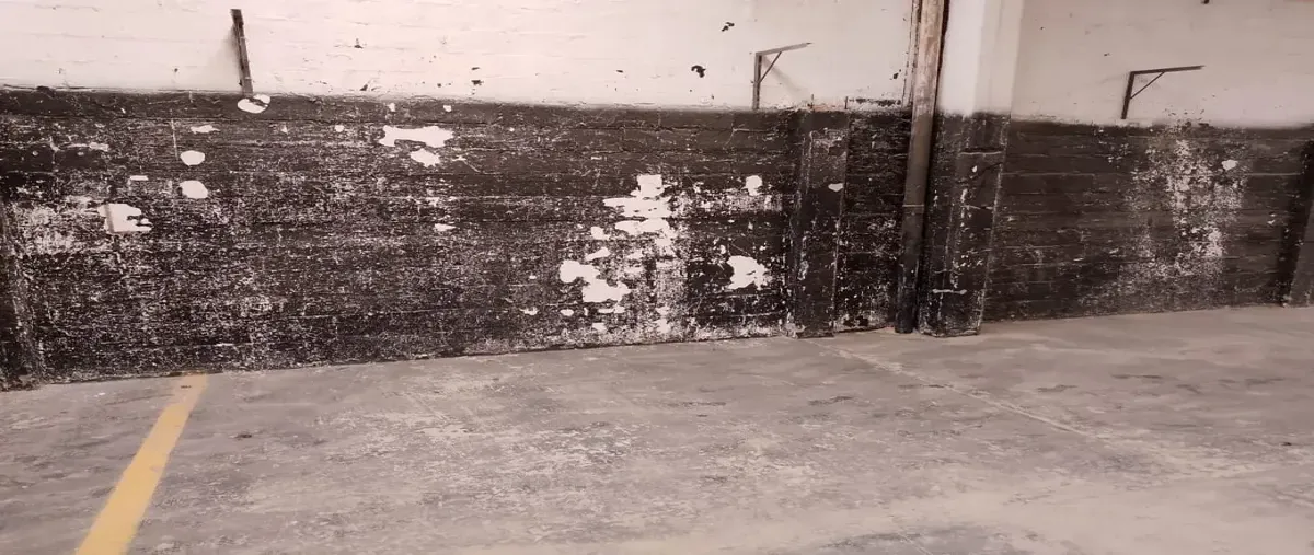 Foto de bodega en venta en chipilo 101, chipilo de francisco javier mina, san gregorio atzompa, puebla, 0 No. 05