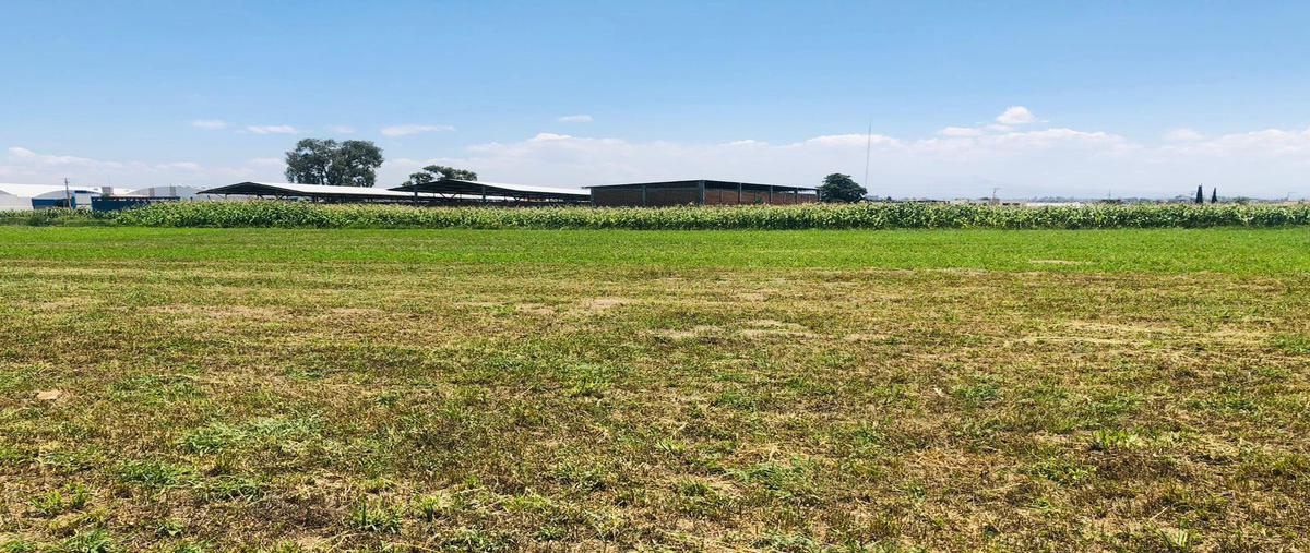Foto de terreno habitacional en venta en  , chipilo de francisco javier mina, san gregorio atzompa, puebla, 0 No. 03
