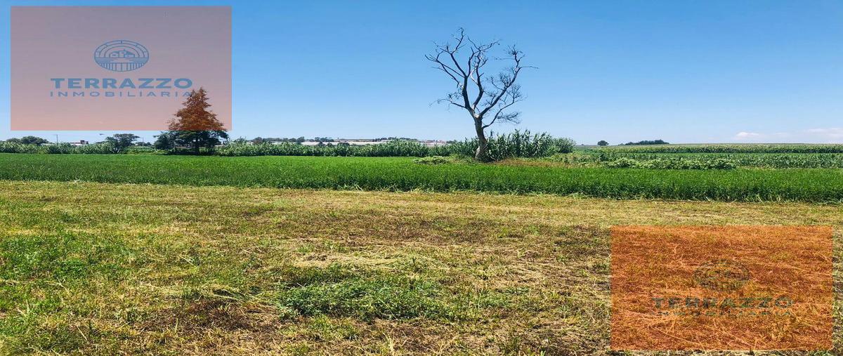 Foto de terreno habitacional en , chipilo de francisco javier mina, san gregorio atzompa, puebla, 25282114 foto 05 Foto de terreno habitacional en venta en , chipilo de francisco javier mina, san gregorio atzompa, puebla, 25282114 No. 05