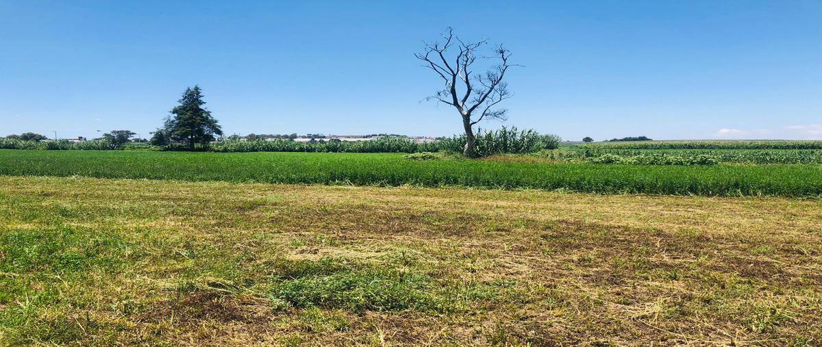 Foto de terreno habitacional en venta en  , chipilo de francisco javier mina, san gregorio atzompa, puebla, 0 No. 05