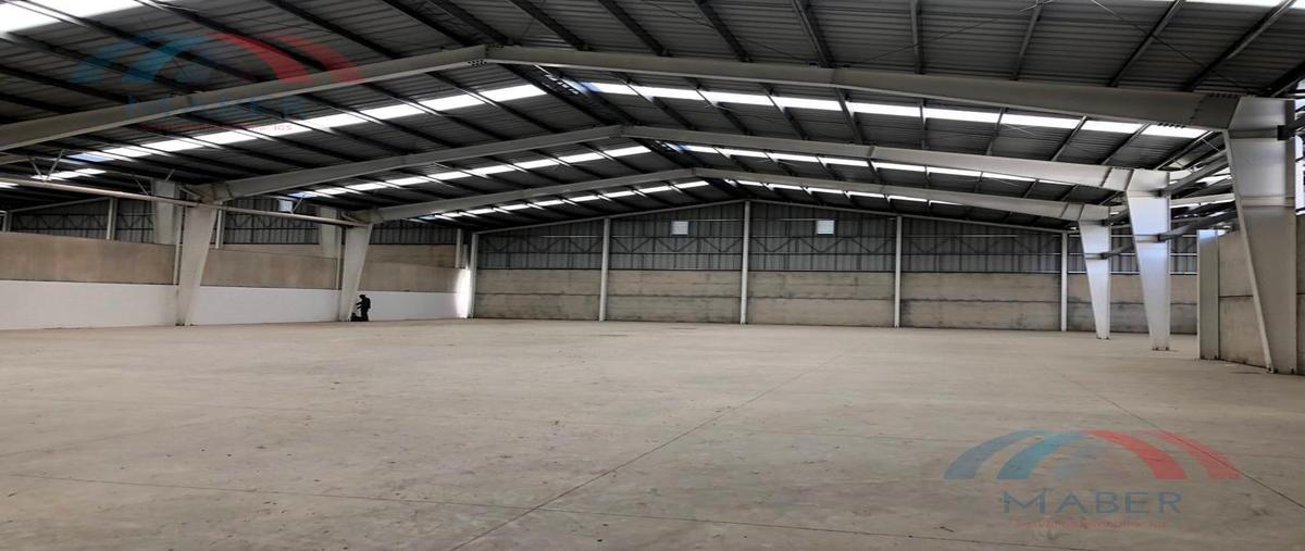 Foto de nave industrial en renta en  , chipilo de francisco javier mina, san gregorio atzompa, puebla, 0 No. 05