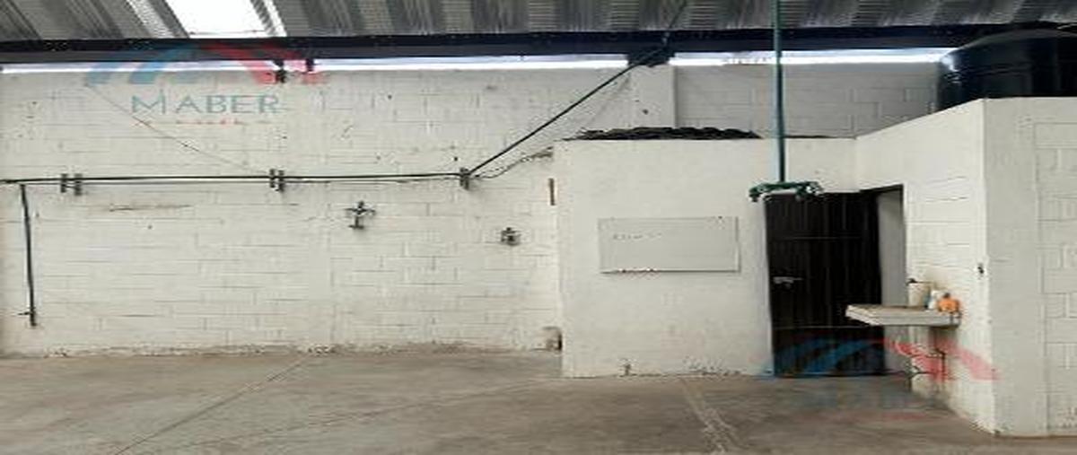 Foto de nave industrial en renta en  , chipilo de francisco javier mina, san gregorio atzompa, puebla, 28148231 No. 05