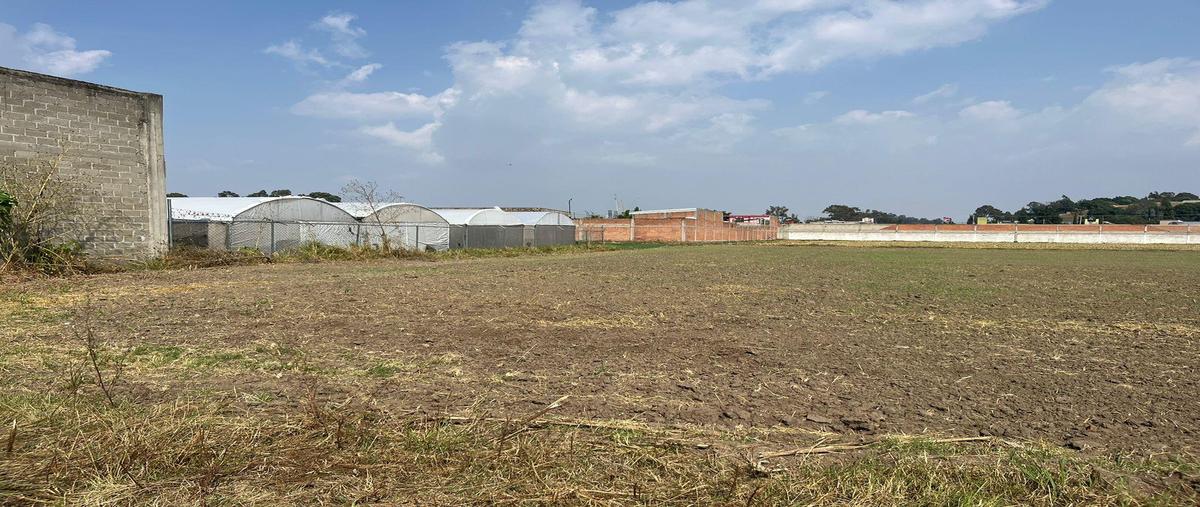 Foto de terreno habitacional en venta en  , chipilo de francisco javier mina, san gregorio atzompa, puebla, 0 No. 01