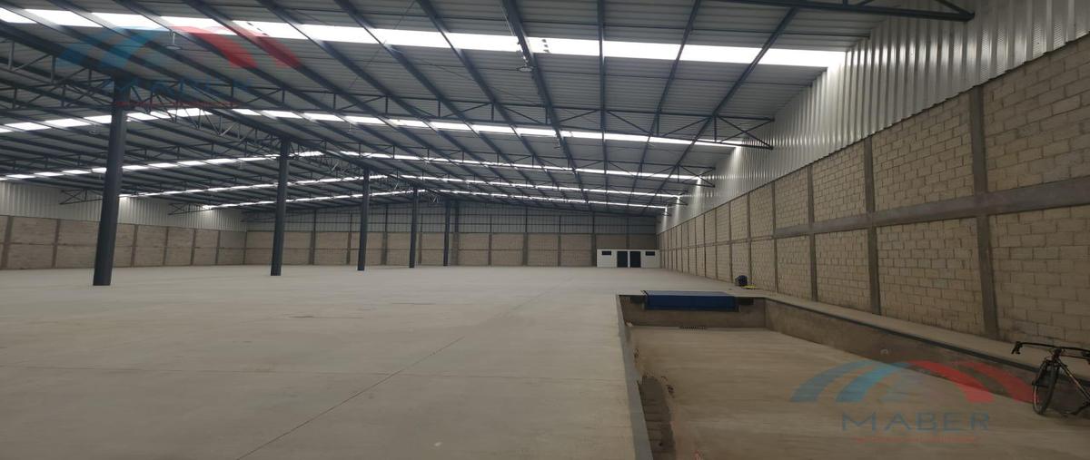 Foto de nave industrial en renta en  , chipilo de francisco javier mina, san gregorio atzompa, puebla, 0 No. 04