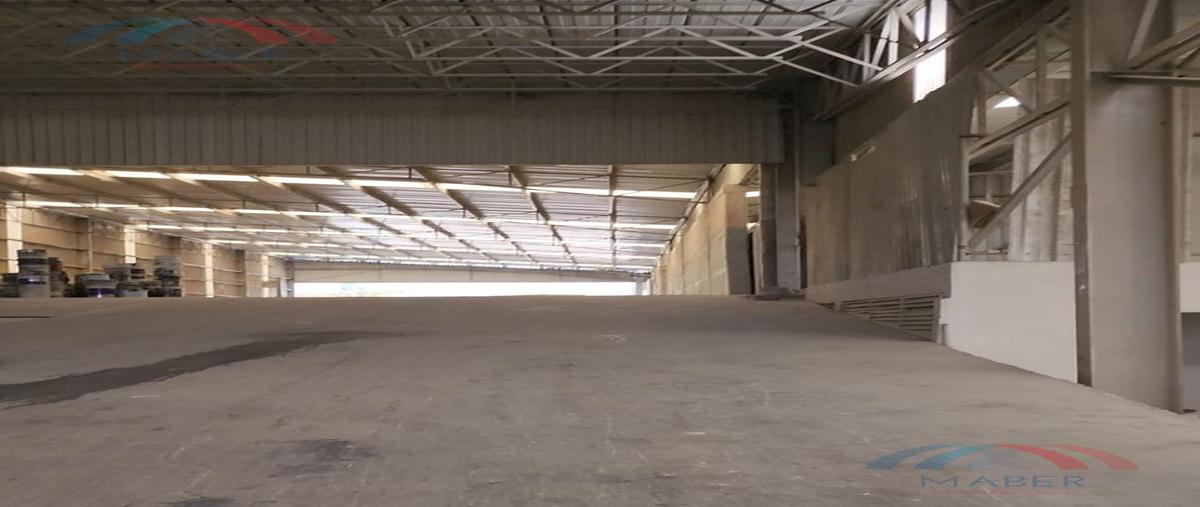 Foto de nave industrial en renta en  , chipilo de francisco javier mina, san gregorio atzompa, puebla, 0 No. 03
