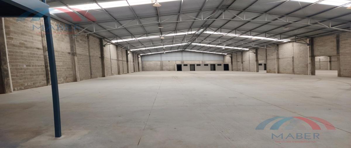 Foto de nave industrial en renta en  , chipilo de francisco javier mina, san gregorio atzompa, puebla, 0 No. 05