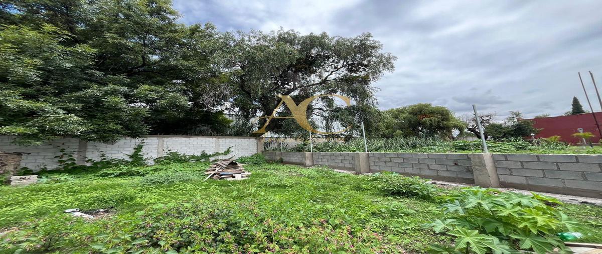 Foto de terreno habitacional en venta en  , chipilo de francisco javier mina, san gregorio atzompa, puebla, 0 No. 03