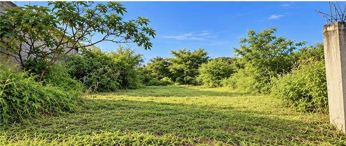 Foto de terreno habitacional en venta en chipitlán , chipitlán, cuernavaca, morelos, 0 No. 03