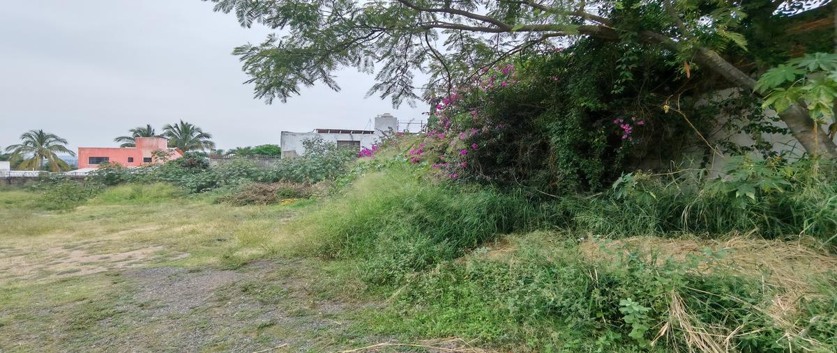 Foto de terreno habitacional en venta en chiplitán , chipitlán, cuernavaca, morelos, 0 No. 04
