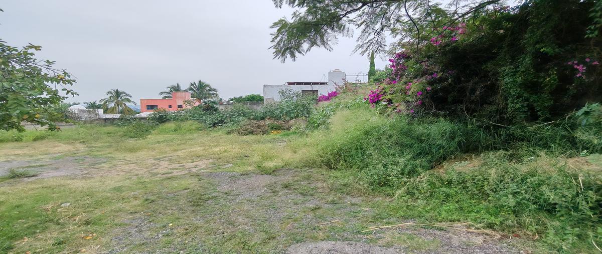 Foto de terreno habitacional en venta en chiplitán , chipitlán, cuernavaca, morelos, 0 No. 05