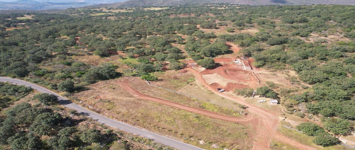 Foto de terreno habitacional en venta en  , chiquilistlan, chiquilistlán, jalisco, 25883540 No. 03