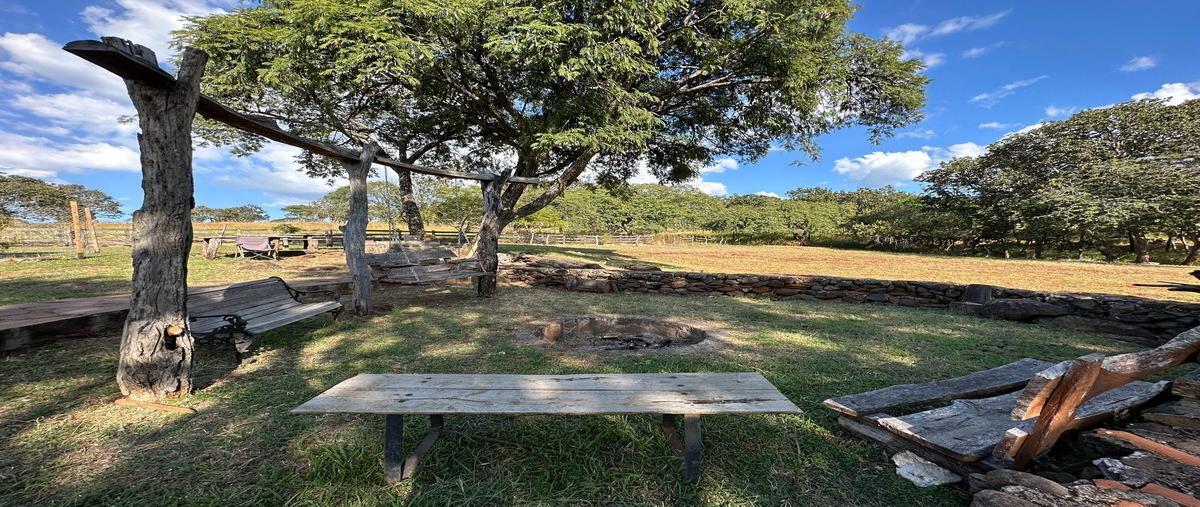 Foto de terreno habitacional en venta en  , chiquilistlan, chiquilistlán, jalisco, 25883540 No. 04