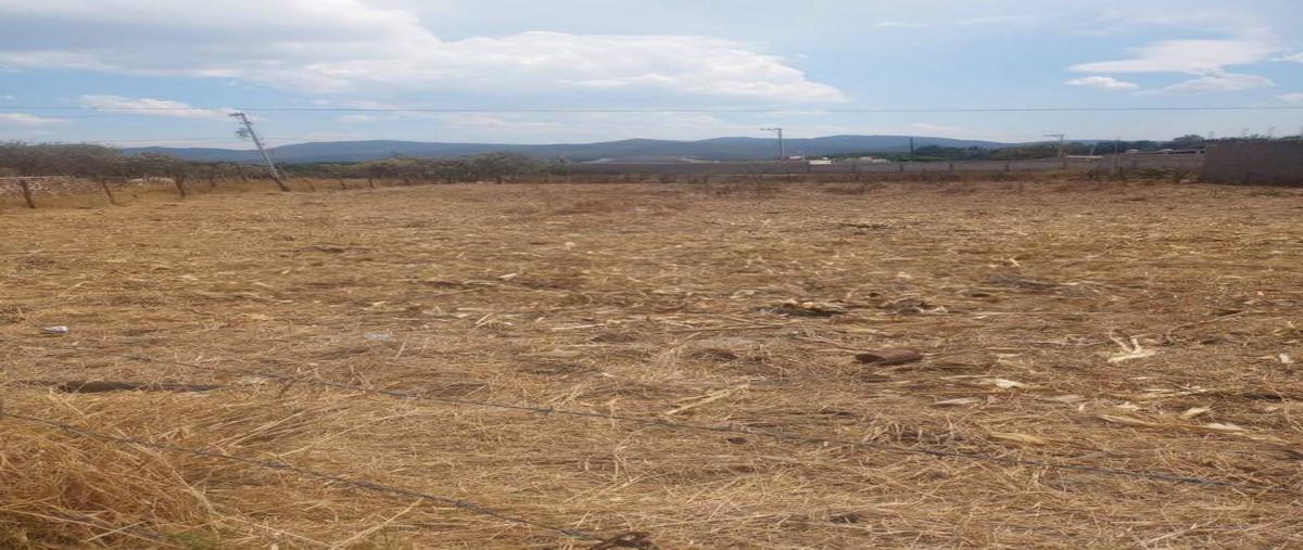 Foto de terreno habitacional en venta en  , chiquilistlan, chiquilistlán, jalisco, 26731818 No. 03