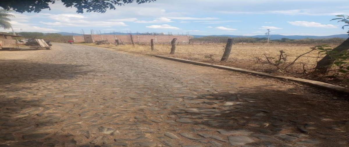 Foto de terreno habitacional en venta en  , chiquilistlan, chiquilistlán, jalisco, 26731818 No. 04