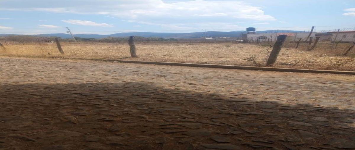 Foto de terreno habitacional en venta en  , chiquilistlan, chiquilistlán, jalisco, 26731818 No. 05