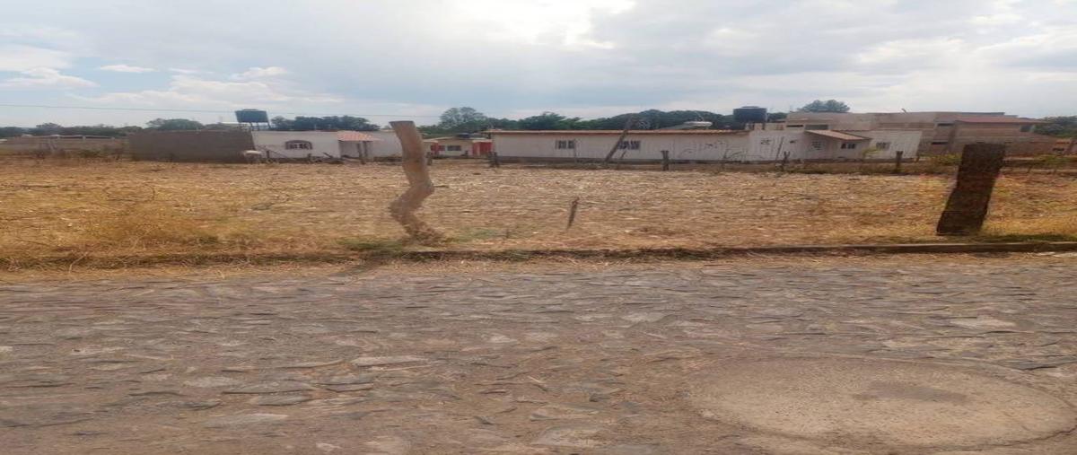 Foto de terreno habitacional en venta en  , chiquilistlan, chiquilistlán, jalisco, 26731820 No. 03